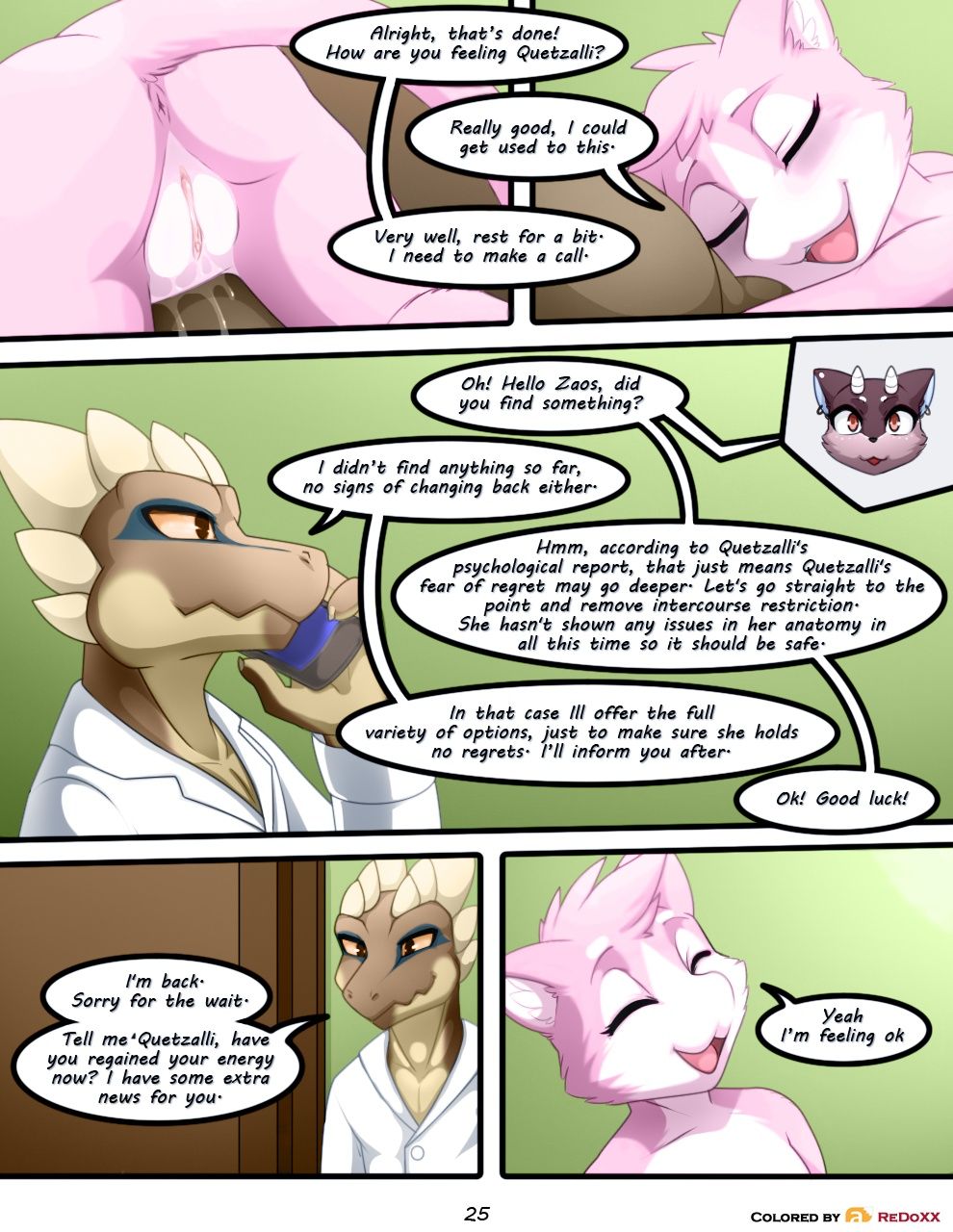 Page 25